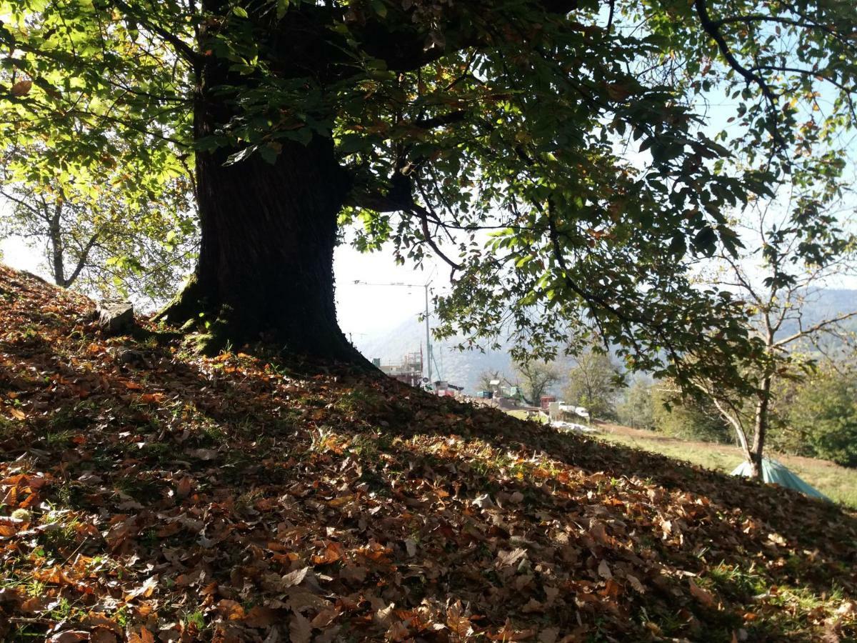Agriturismo Piane Ono Degno Eksteriør bilde